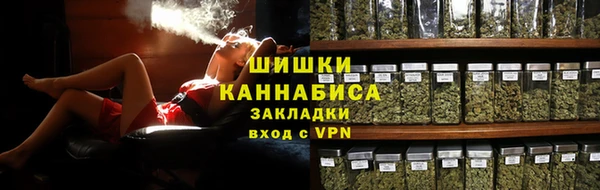 прущие грибы Горнозаводск