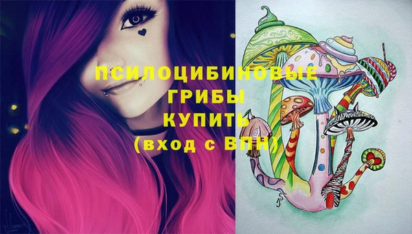 PSILOCYBIN Алексеевка